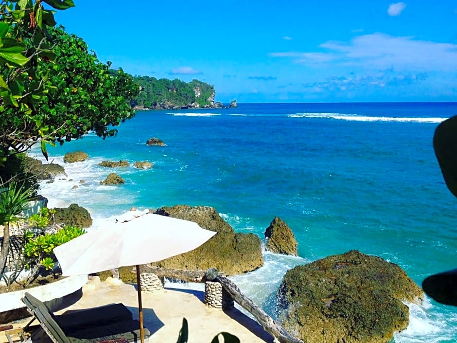 rock n reef