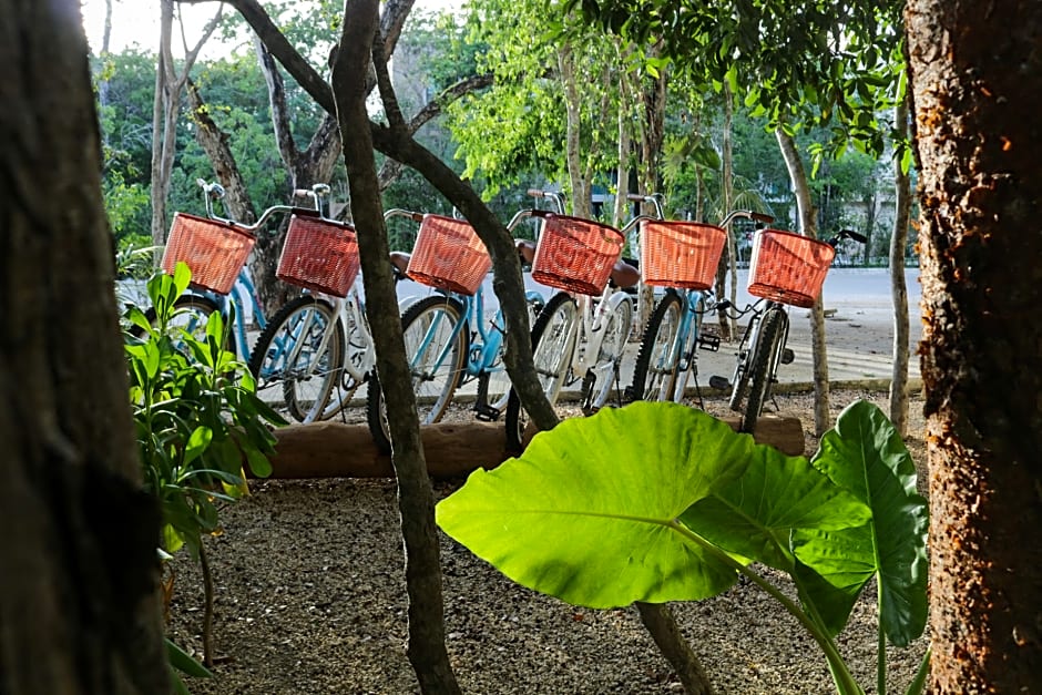 Niik Tulum