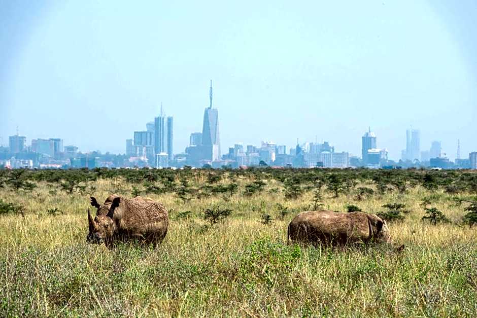 Park Inn by Radisson, Nairobi Westlands