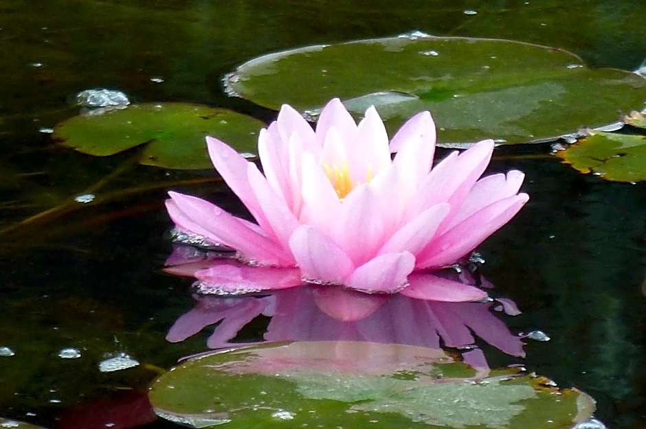 Wellness- und Gartenhotel Heusser