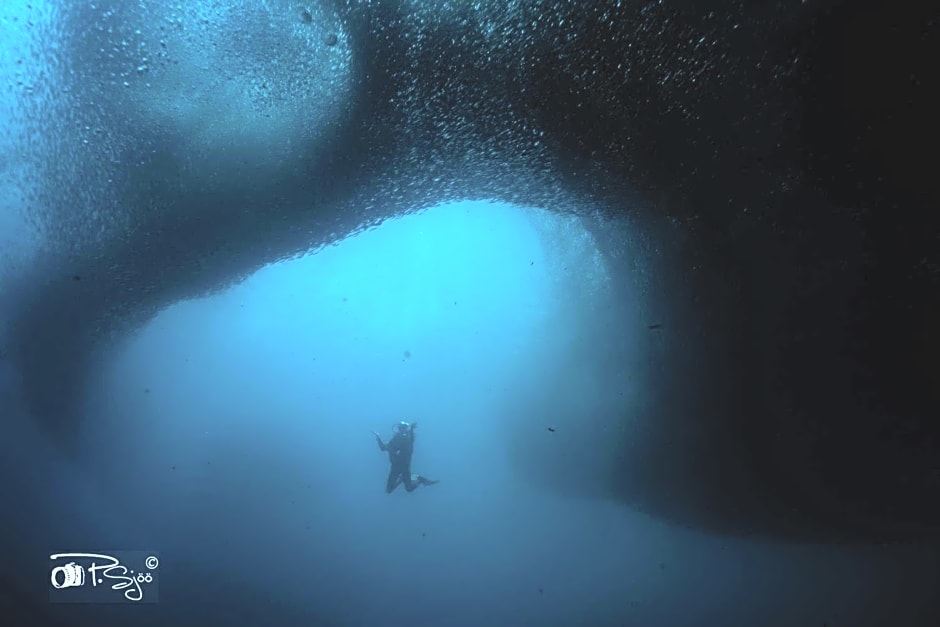 Divers Lodge Moalboal