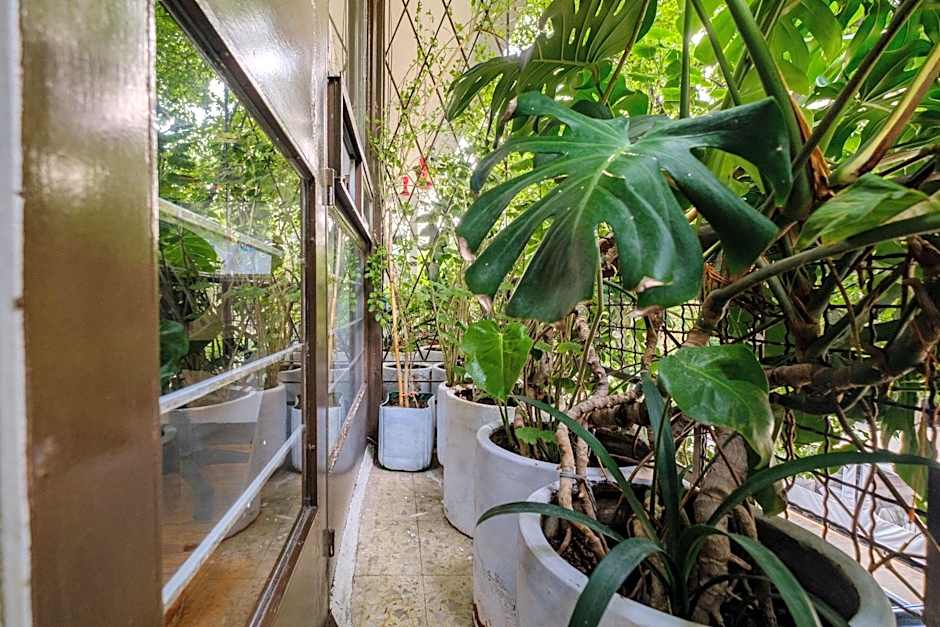 Casa Itzae B&B Polanquito Dog Friendly