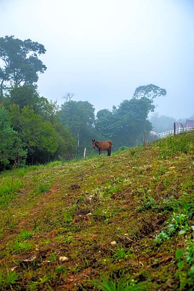 Pousada Pedra da Mata chalés na montanha