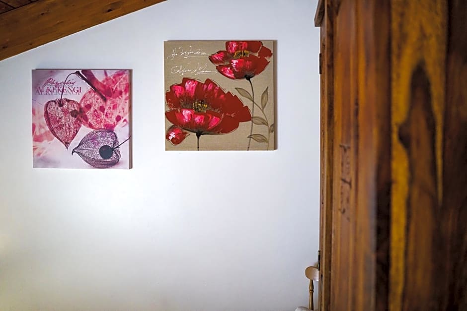 Sansi´s Sapri Camere