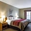 Quality Inn & Suites Houma