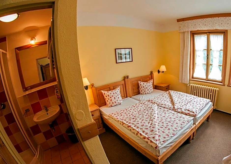 Alpský Hotel