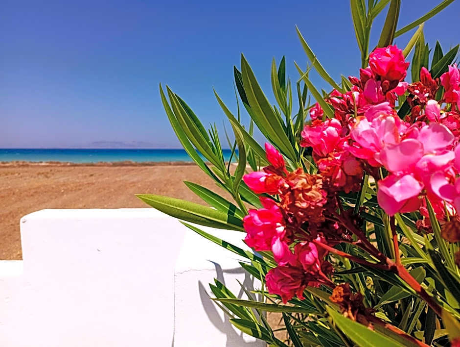 Nautilus Beach House