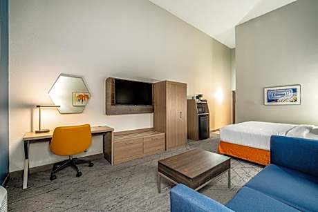 1 King Bed Suite