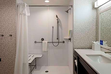 2Queen Studio Mobility Accessible Ri Shower