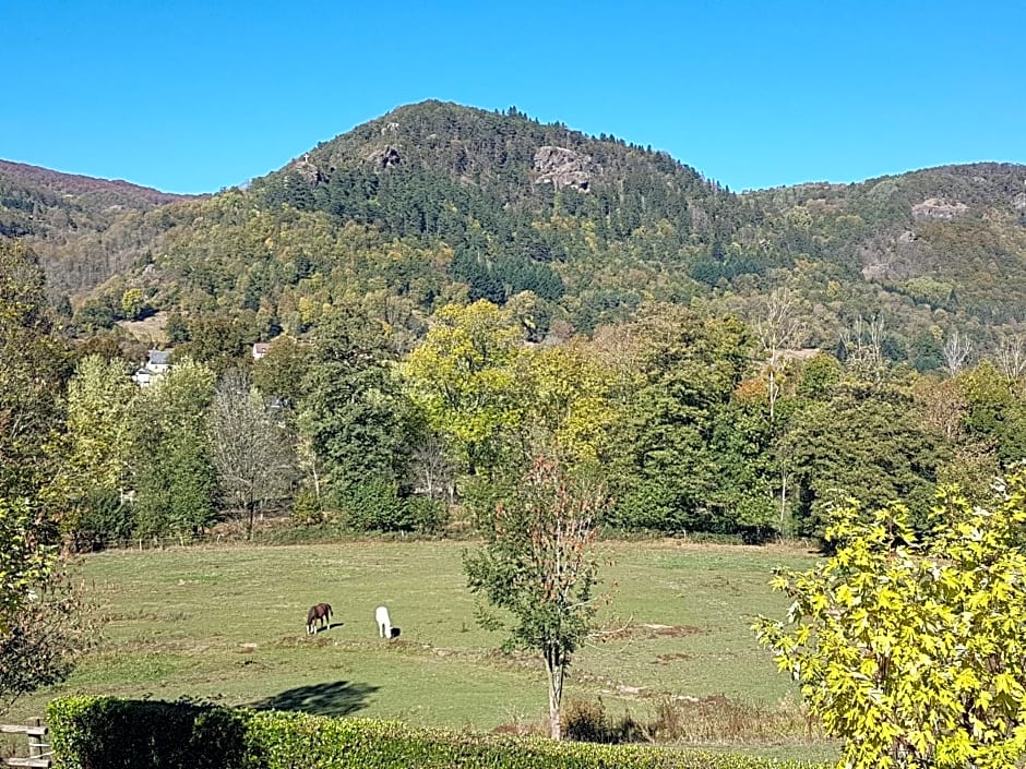 Le Kino Panorama