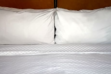 Room, 1 King Bed, Courtyard View