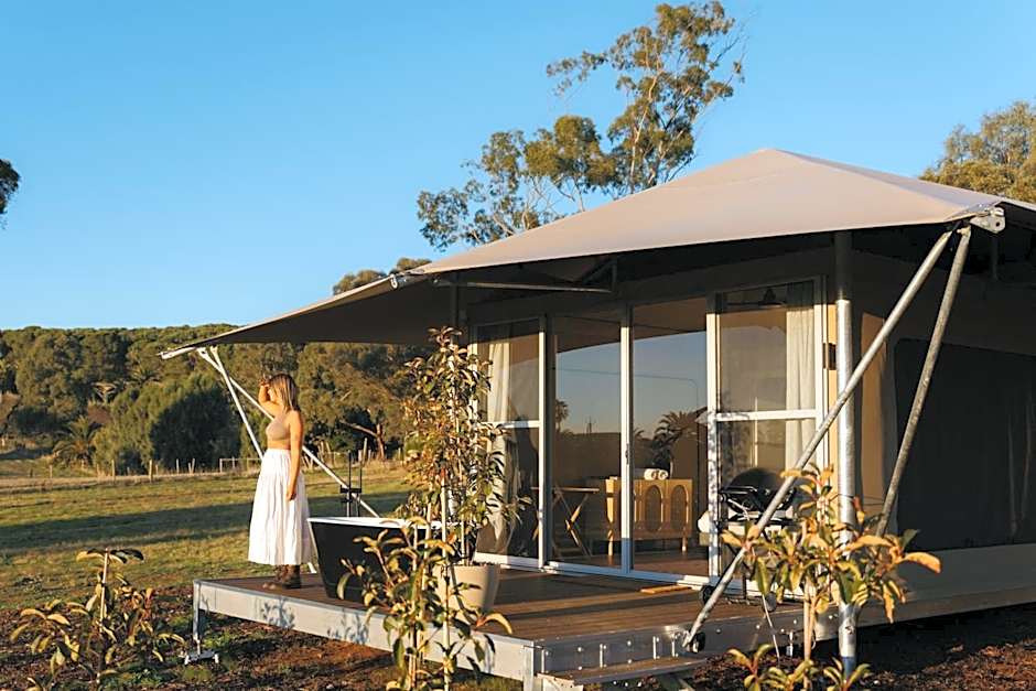 CANVS by CABN Seppeltsfield Barossa