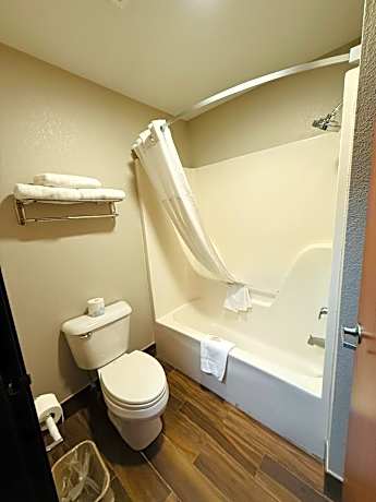 King Studio Suite - Non-Smoking