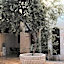 Kaliruha Boutique Hotel