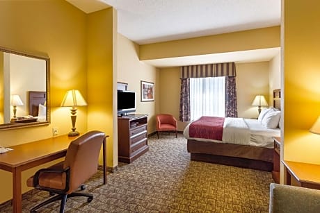 1 King Bed  Suite  No Smoking  Accessible Room