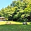 Havelock Garden Motel