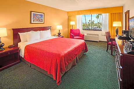 King Room Accessible