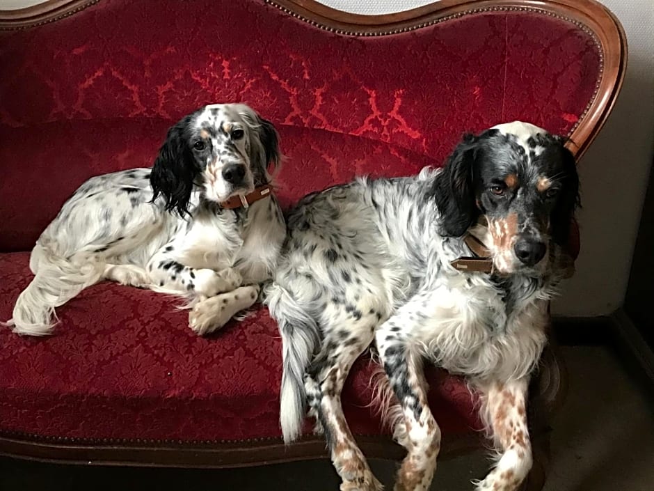 Chez Zoiseau et Zoiseautte