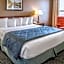 Quality Inn Schaumburg - Chicago Near The Mall