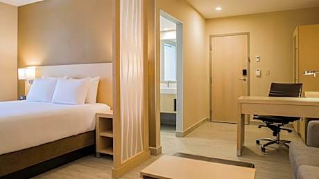 Specialty King Room