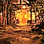 Kurokawa Onsen Oyado Noshiyu