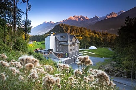 Hotel Wetterhorn