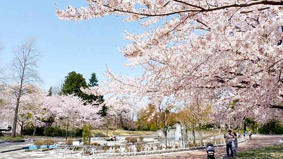 Grand Park Hotel Panex Hachinohe