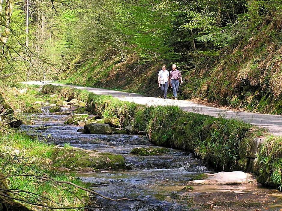 Flair Hotel Adlerbad