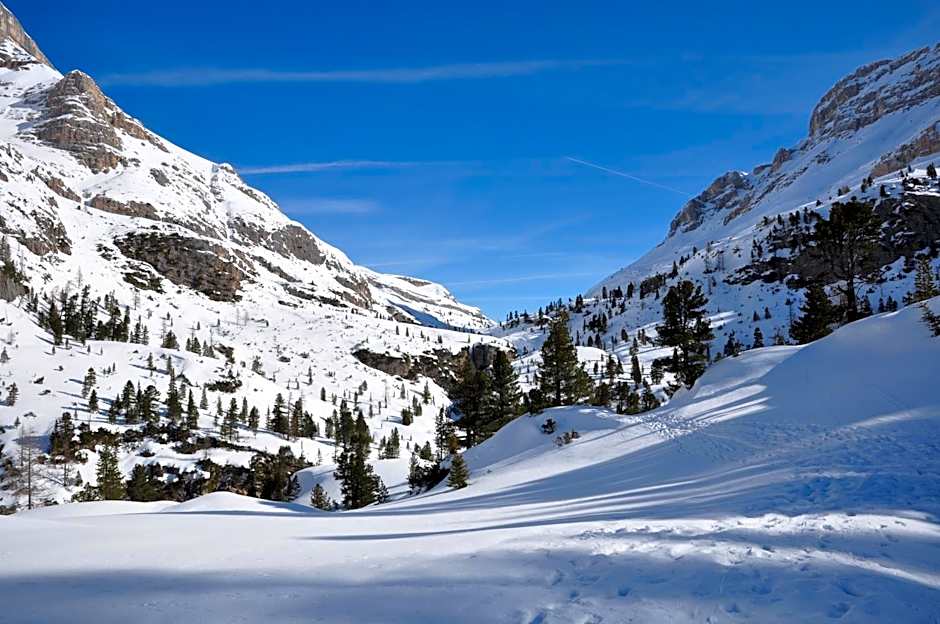 B&B Apartments La Palsa