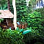 Our Jungle House