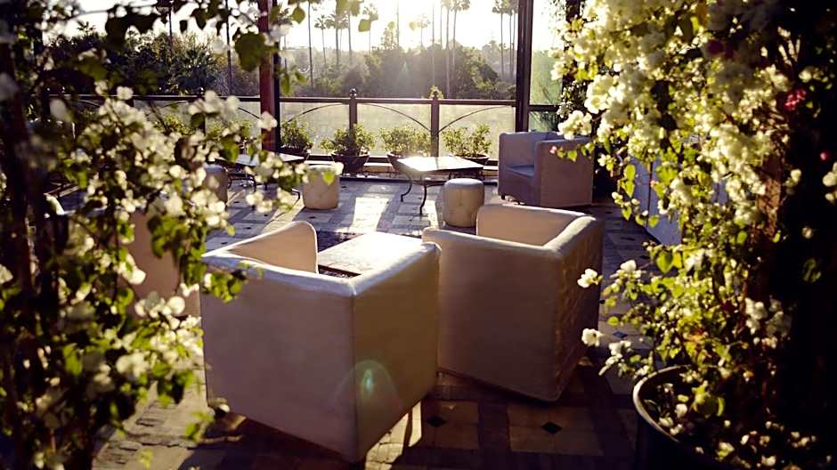 Riad Wow