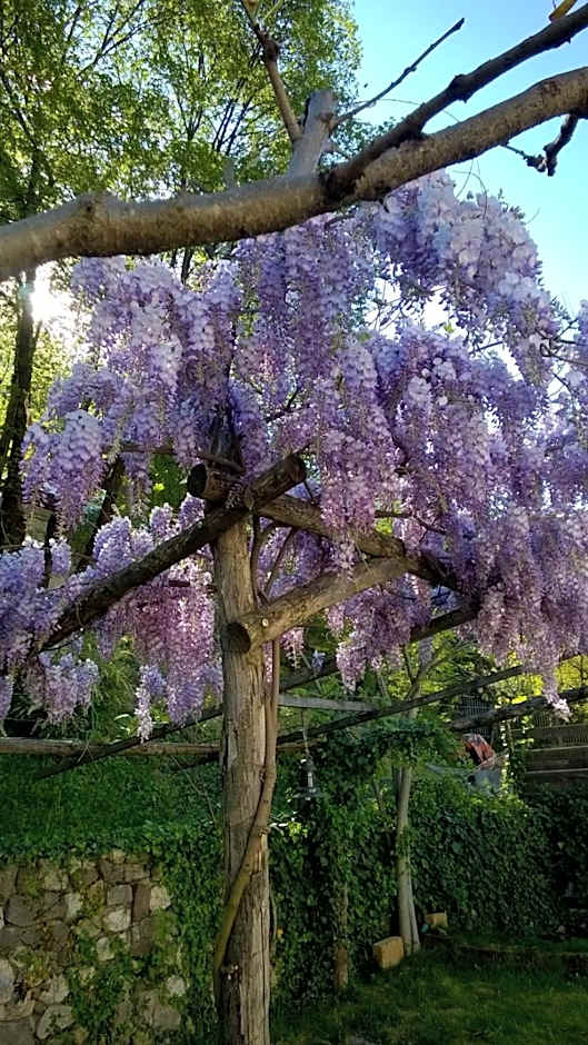 Guesthouse Dolomiten