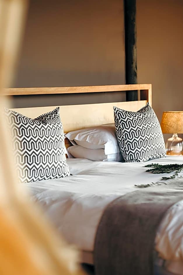 Hlosi Game Lodge - Amakhala Game Reserve