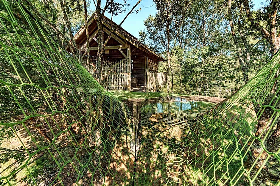 cabanes perchees dans les arbres