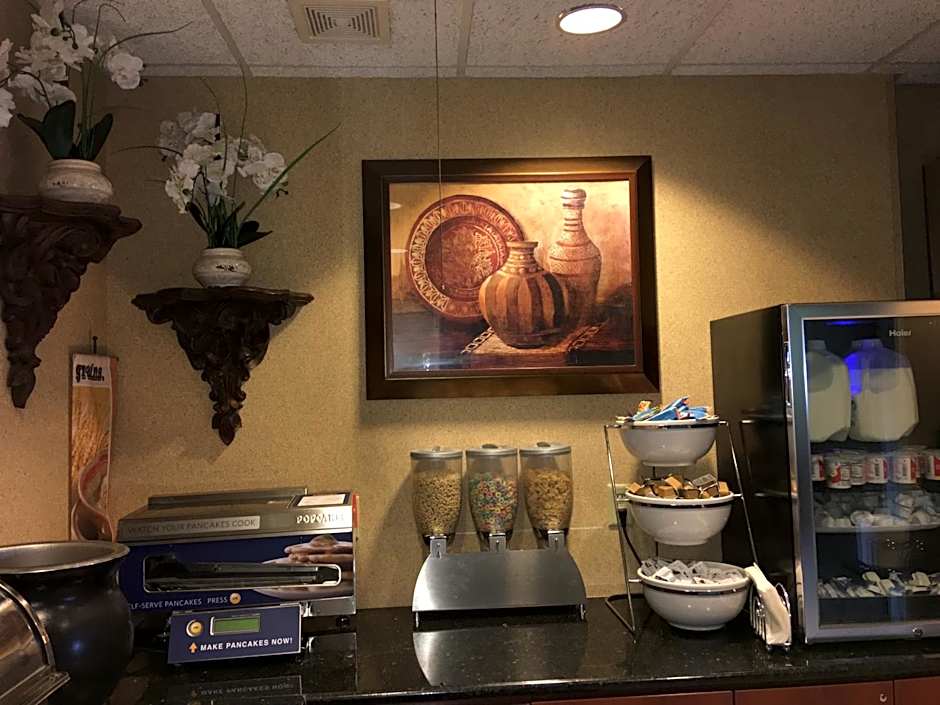 Microtel Inn & Suites By Wyndham Indianapolis Airport
