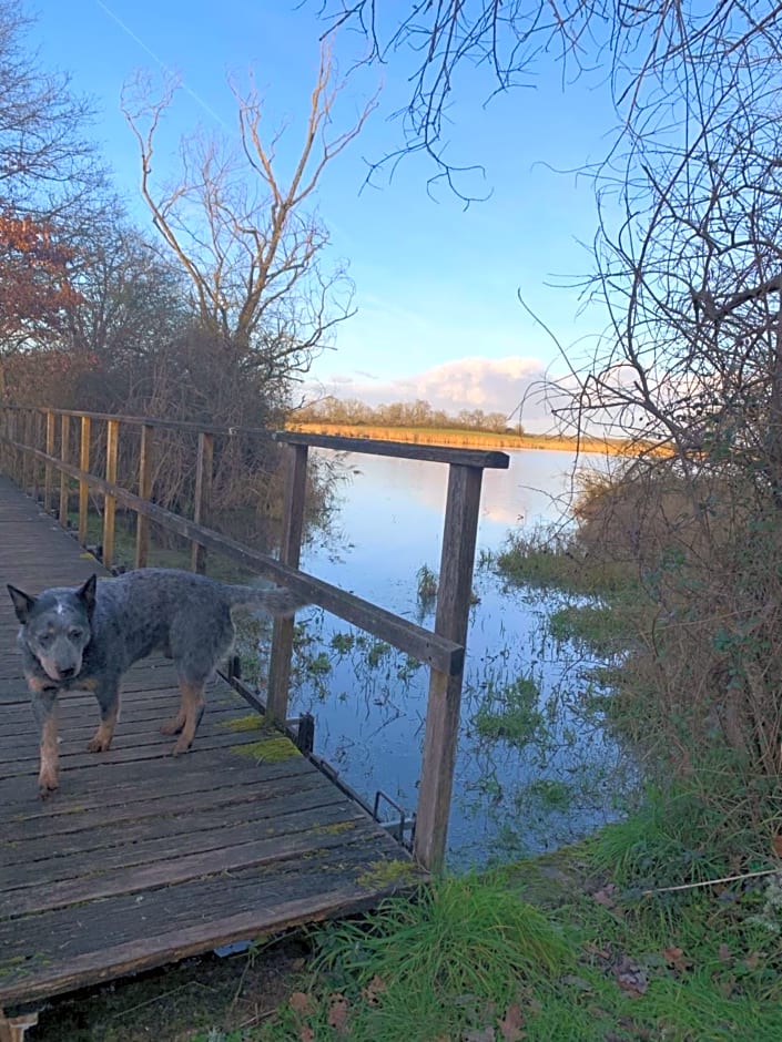 Chambres d hôte à la ferme des Buttons, chambre Iris