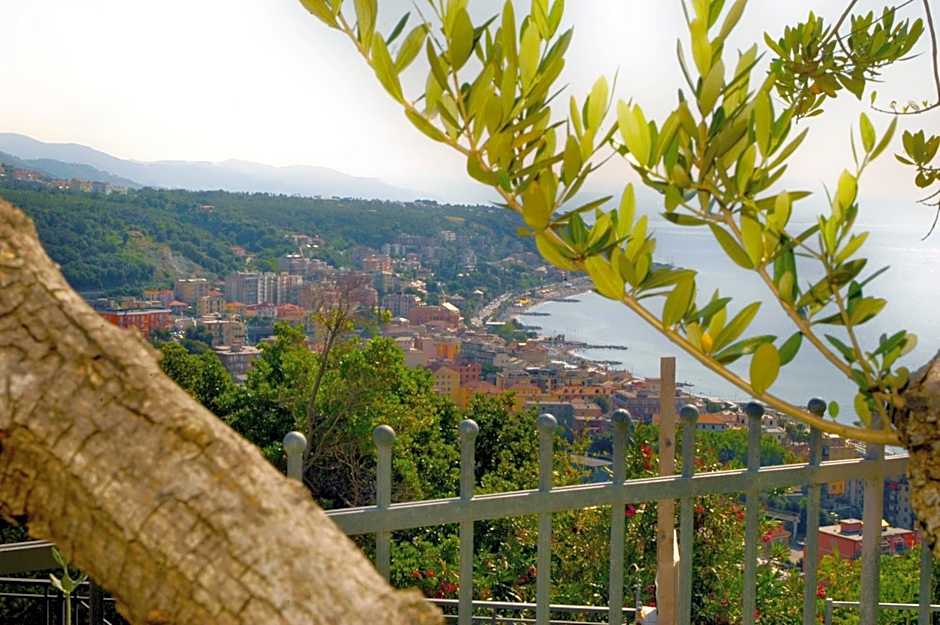 Residence Villa Beuca