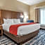 Comfort Inn & Suites Downtown near University