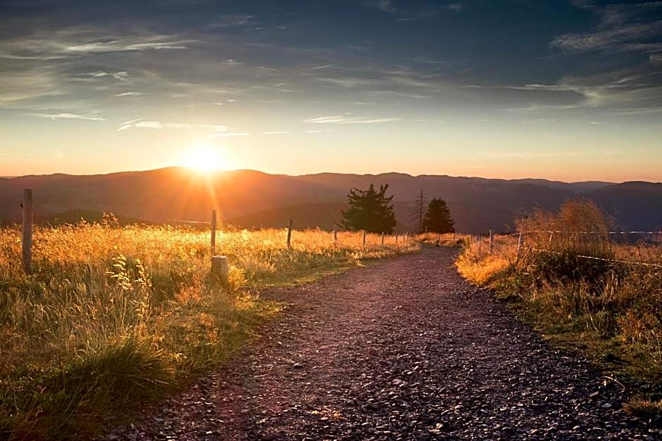 Alemannenhof - Boutique Hotel am Titisee