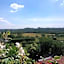 Le vigne sull’Adda