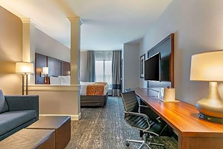 1 King Bed, Suite, No Smoking