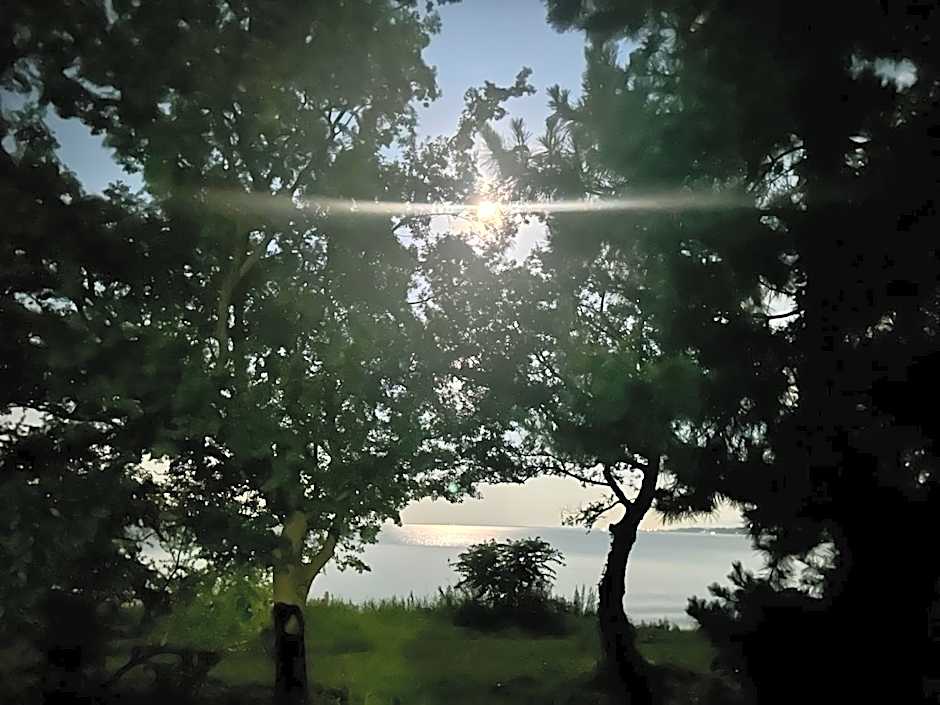 高島市一棟貸切 Biwa Lake琵琶湖 徒歩0分 大人数でご利用だとお得連泊がお得BBQ自転車貸出可ペット可