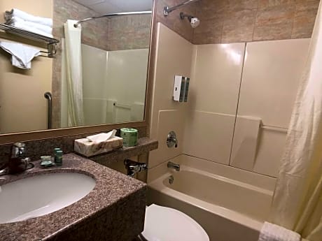 Accessible - 1 King Mobility Accessible Roll In Shower Non-Smoking Continental Breakfast