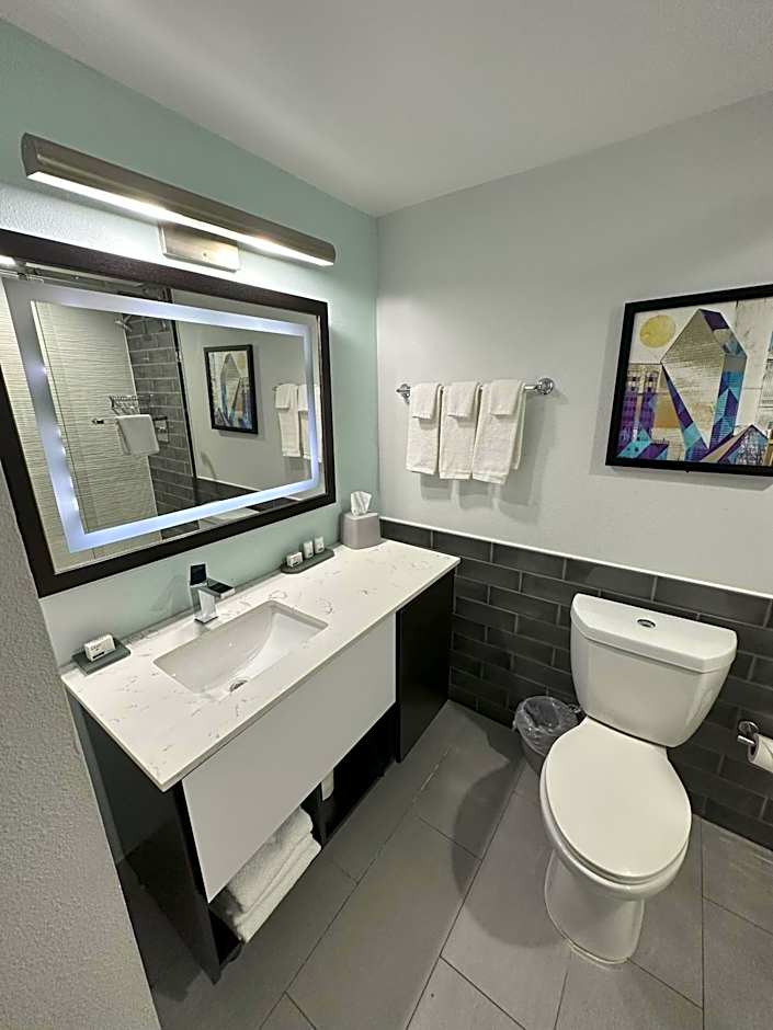 Holiday Inn Express - Dallas Downtown By IHG