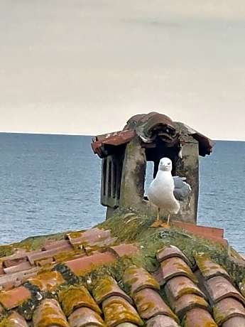 Studio with Sea View