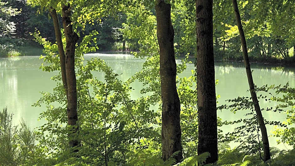 Le Pavillon De Gouffern