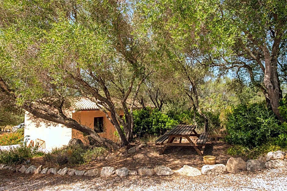 B&B Terra e Smeralda