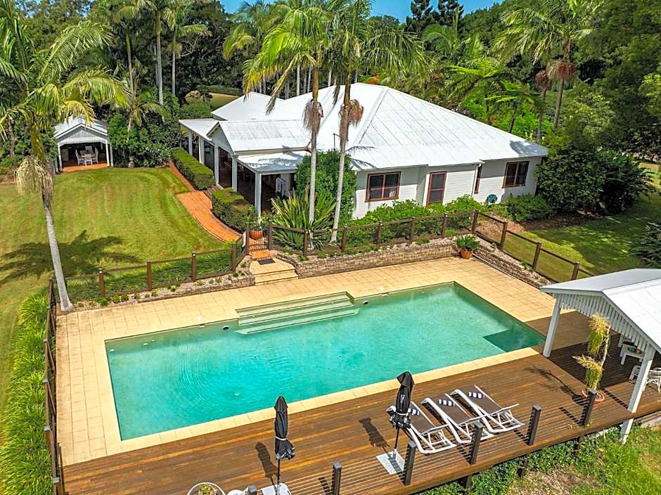 Cedia at Byron Bay Hinterland