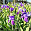 OSCEOLA MILL HOUSE B&B - ADULTS ONLY