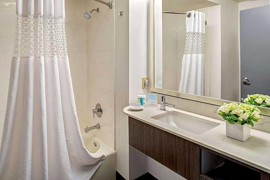 Hampton Inn By Hilton & Suites Palm Desert, Ca